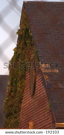 Lorton prison one year after closing shows signs of decay.