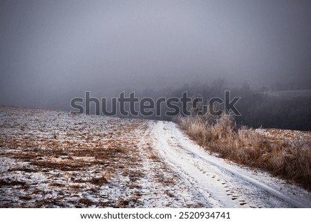 Similar – Foto Bild Feldweg im Dezember, rechts abgestorbene Nadelbäume und ein Hochsitz, rechts Wiesen hinter einem Weidezaun