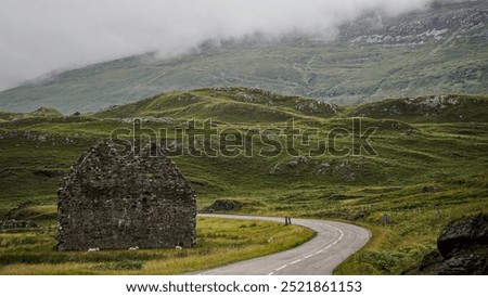 Similar – Image, Stock Photo Somewhere Nature Meadow