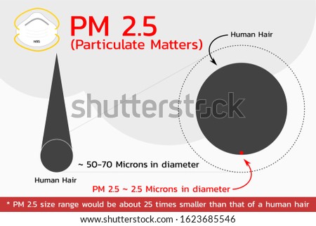 Particulate Matter 2.5 Microns , vector Stock fotó © 