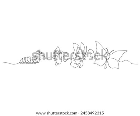 Continuous one line drawing of butterfly life cycle. One line drawing illustration of butterfly metamorphosis. Butterfly transformation concept continuous line art. Editable outline.