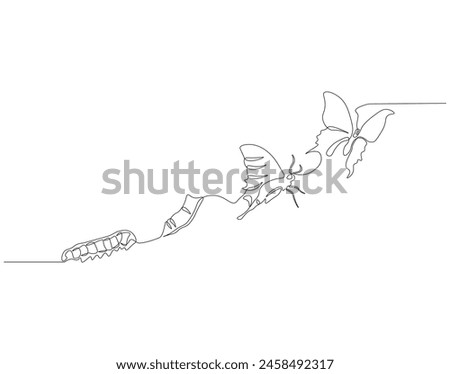 Continuous one line drawing of butterfly life cycle. One line drawing illustration of butterfly metamorphosis. Butterfly transformation concept continuous line art. Editable outline.