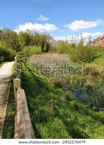 Similar – Image, Stock Photo Wooden path alongside the Vintgar Gorge