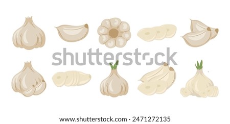 10 Garlic Illustration Set Collection