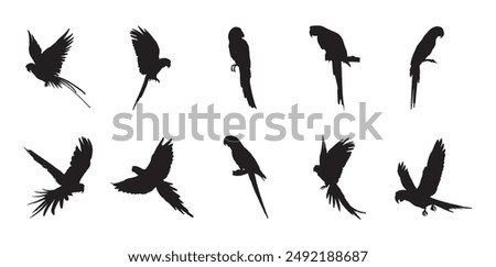 10 Parrot Silhouette Vector Set