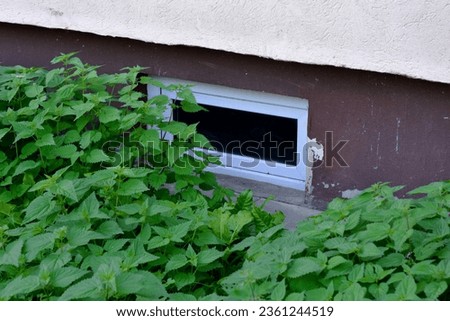 Similar – Foto Bild Kellerfenster in einer alten verwaschenen rotbraunen Fassade mit Herbstlaub und Kopfsteinpflaster in Wettenberg Krofdorf-Gleiberg bei Gießen In Hessen