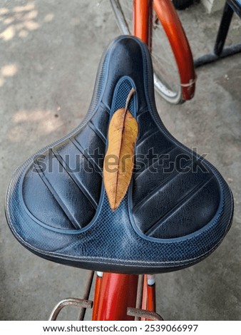Similar – Image, Stock Photo bicycle seat, mode of transportation in the city