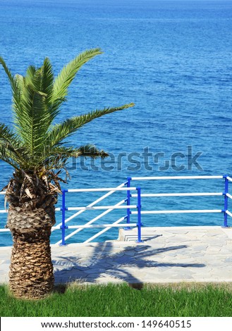 In the help designers, decorators advertising - beautiful concise sea landscape with palm tree on the shore