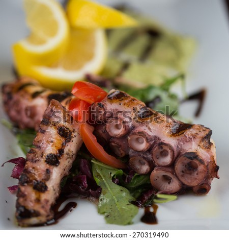 GRILLED OCTOPUS. Grilled octopus served with avocado puree and lemon oil