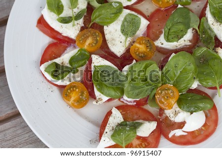 Fresh buffalo mozzarella cheese salad with basil, tomatoes, lemon juice olive oil and salt and freshly cracked black pepper
