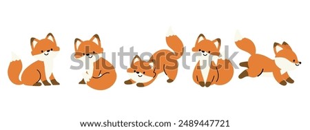 Cute Fox Autumn Season animal set vector. Collection of orange foxes, wolf, dog in different pose, sitting, sleeping, jumping, running. Adorable fox characters illustration for decoration, clipart.