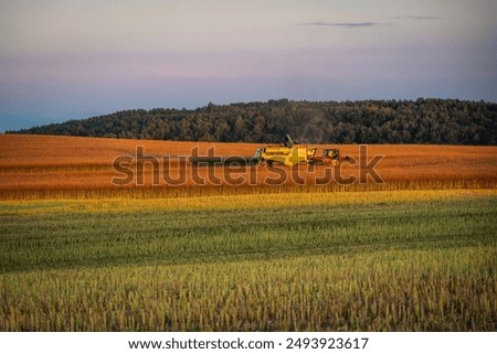 Similar – Image, Stock Photo harvest time Field