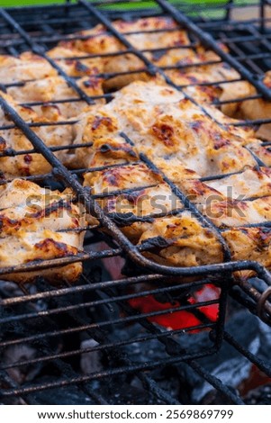 Similar – Image, Stock Photo Roasted marinated chicken pieces with vegetables in black baking dish