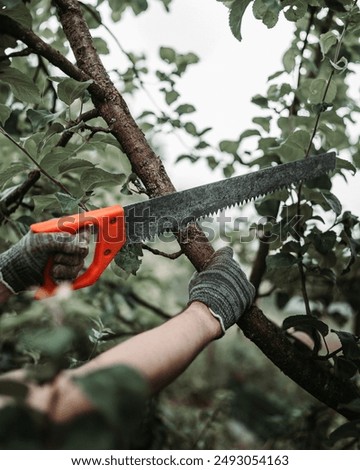 Similar – Image, Stock Photo Cutting trees using an electrical chainsaw in the forest.