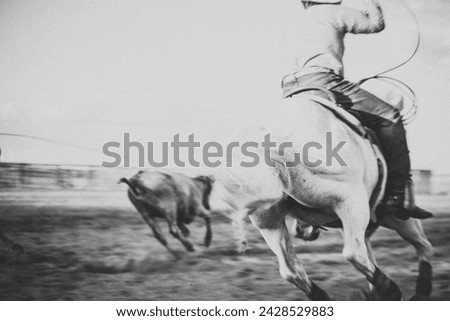 Similar – Image, Stock Photo Seilschaften (I)