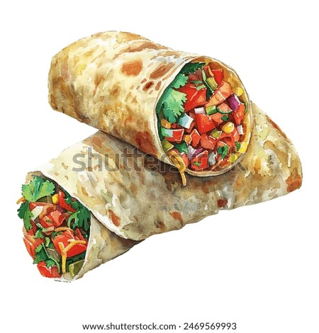 burrito vector illustration in watercolor style