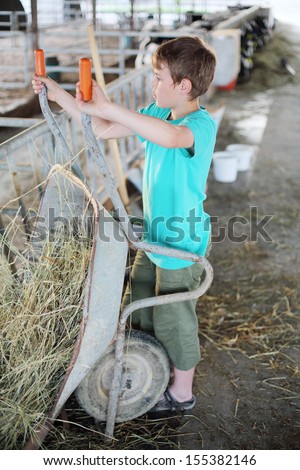 Boy in green works with a wheelbarrow and hay at large cow farm.