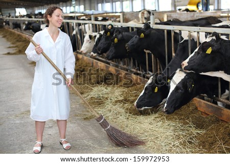 Happy woman in white robe sweeps floor in large farm with many cows.