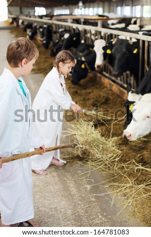 Boy with pitchfork and little girl in white robes holds hay for cows in long stall. Focus on boy.