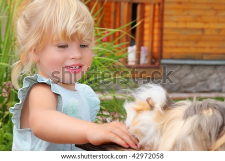 little girl feeds Guinea pig in courtyard near house
