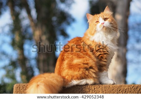 Shutterstock Puzzlepix