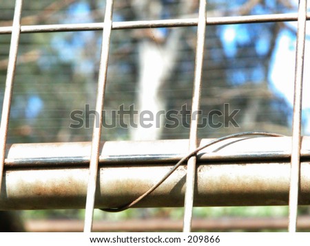 fence close up