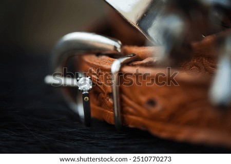 Similar – Image, Stock Photo ON THE SPUR OF THE MOMENT.