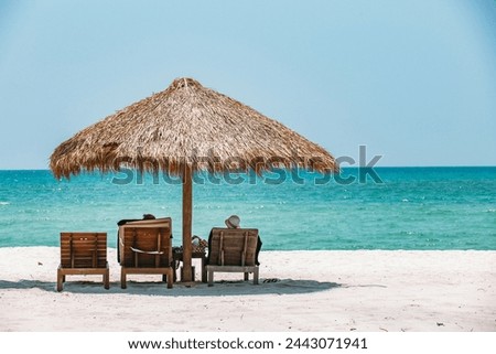 Similar – Image, Stock Photo two straw beach umbrellas on an empty seashore on a clear day