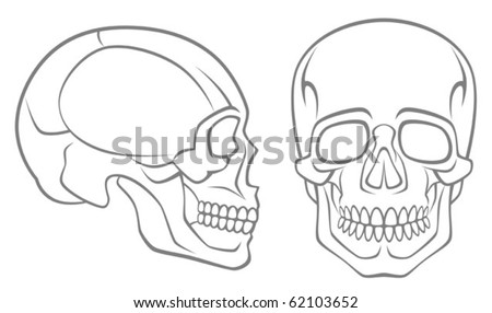 Human Jaw Stock Photos, Images, & Pictures | Shutterstock