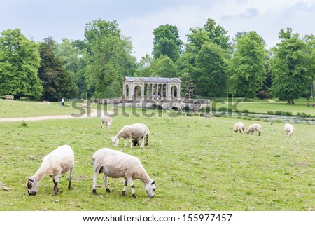 sheep with Palladin Bridge at background, Stowe, Buckinghamshire, England