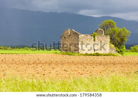 field with a ruin of house and tree, Plateau de Valensole, Provence, France