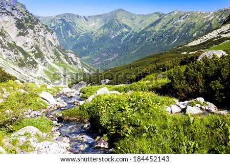 Hlinska Valley, Vysoke Tatry (High Tatras), Slovakia Zdjęcia stock © 