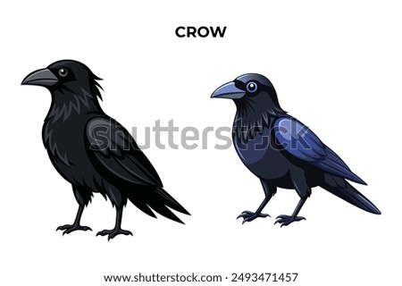 Beautiful Crow on white background vector illustration