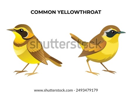 Beautiful Common Yellowthroat on white background vector illustration