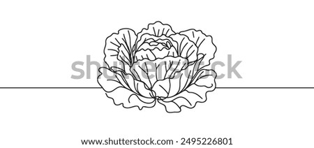 Head lettuce in continuous line art drawing style. Iceberg or crisp head lettuce design isolated on white background. Vector illustration