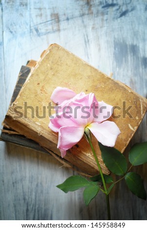 rose on old blue wooden table with old books