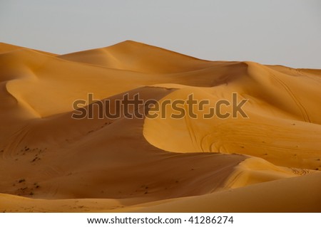 Sand Dunes in Dubai Desert