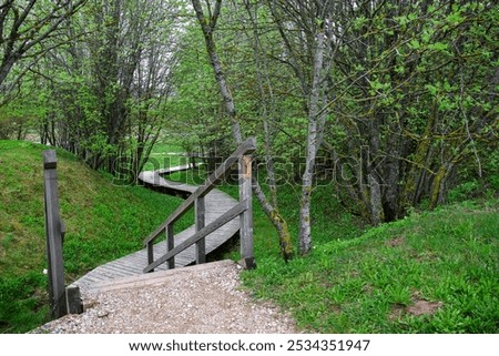 Similar – Image, Stock Photo Path through the meadow