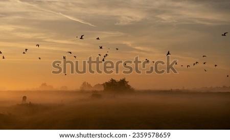 Similar – Image, Stock Photo the early bird Sky