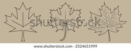 Maple leaf vector icon set. Maple leaf vector . Canada symbol maple leaf clip art. Red , black maple leaf. Canada flag. silhouettes , isolated on transparent background, used for mobile, app, logo