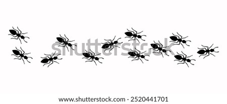 Insect Insects ant ants emmet pismire banner Vector icon icons sign signs fun funny A line of worker workers ants marching search Silhouette banner logo Random Seamless Pattern Representing Teamwork