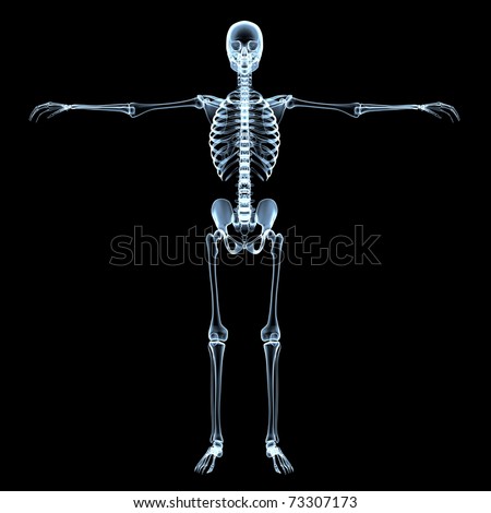 Radiological Image Of The Human Skeleton - Black Background Stock Photo ...