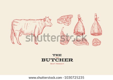 Set vintage hand-drawn different cuts of meats and cow. Engraving pictures for concept of farmers market and shop. Vector Illustration.