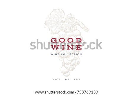 Bunch of grapes on light background. Engraved style. Logo template for wine store, wine card design, restaurant menu or bar. Vector illustration.