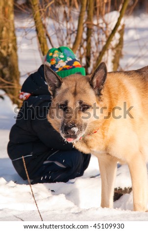 Protection. Dog and little boy in winter forest