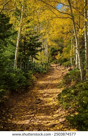 Similar – Image, Stock Photo Hiking trail in the Lüneburg Heath, Lower Saxony, Germany