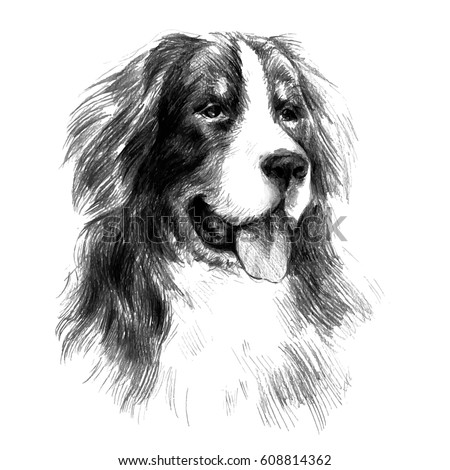 Download Realistic Dogs Drawing At Getdrawings Free Download