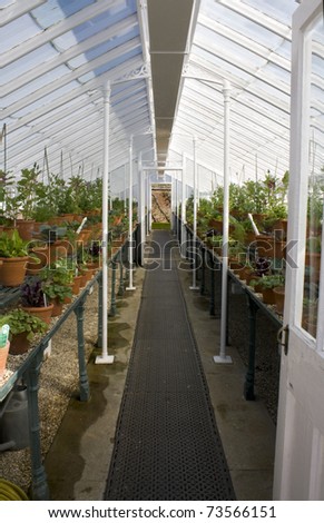 Interior of a Victorian Greenhouse at West Dean, Sussex, England