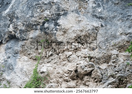 Similar – Image, Stock Photo grungy landscape with big tree shadow and massive dark vignette. crooked horizont.