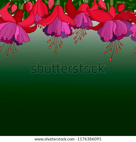 background with fuchsia flowers